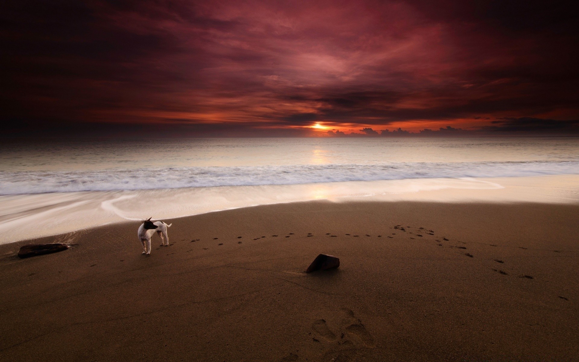 sea and ocean beach sand sunset water seashore ocean sea surf sun dawn seascape evening landscape dusk travel fair weather desert