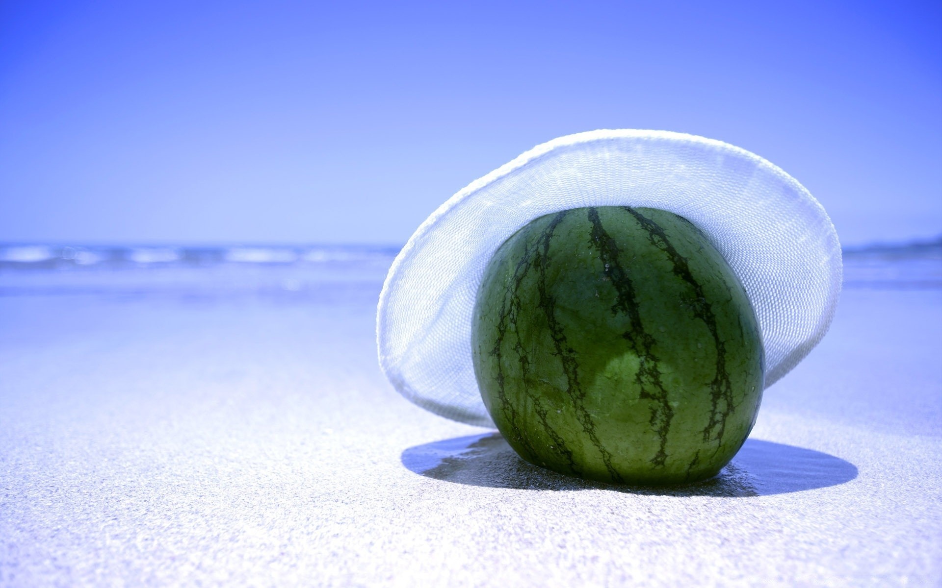 mer et océan nourriture bureau nature morte nature été