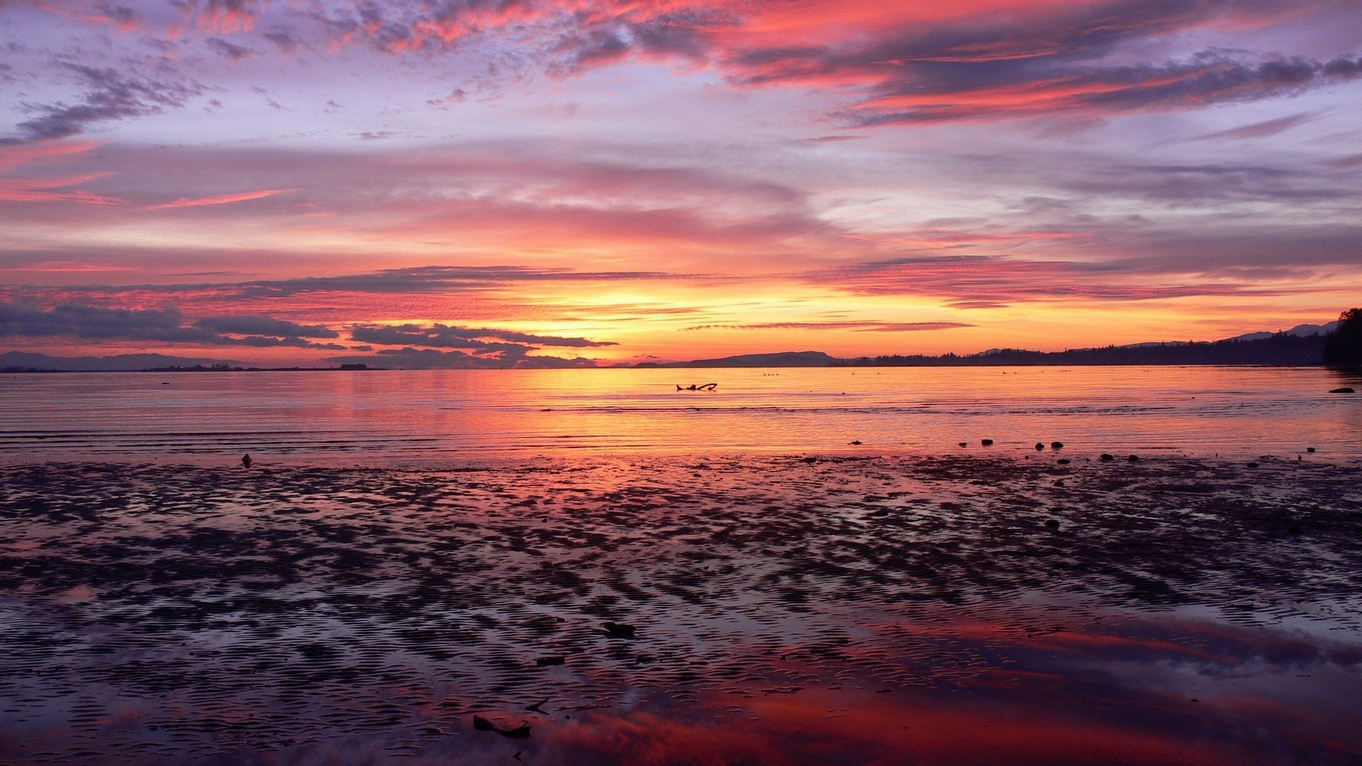 mer et océan coucher de soleil aube mer eau plage crépuscule soleil océan soir paysage ciel paysage réflexion beau temps mer nature lumière nuage