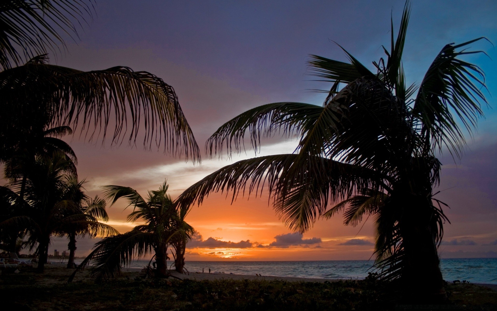 mar y océano playa mar océano palmas puesta de sol árbol agua isla tropical mar viajes paisaje sol resort cielo noche crepúsculo vacaciones exótico