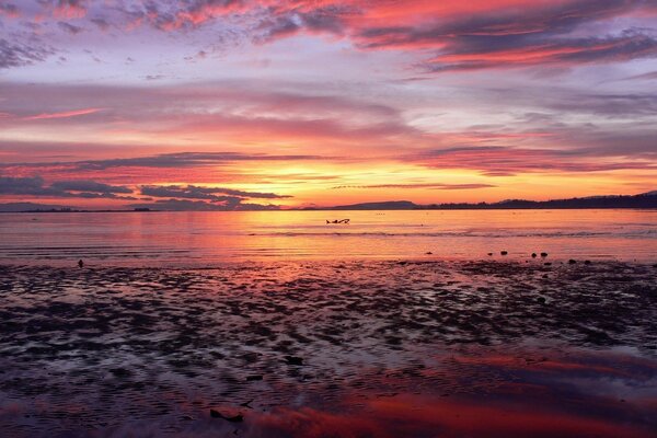 Sunset on the sea. White Nights