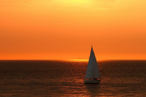 Boat in the sea on the background of sunset