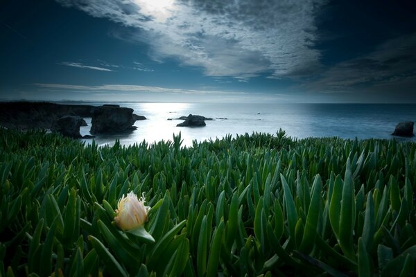 Beautiful beach near the sea. Dark blue sky