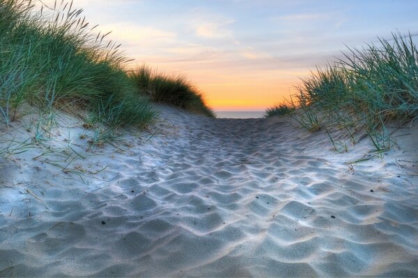 Chemin de sable envahi par la mer