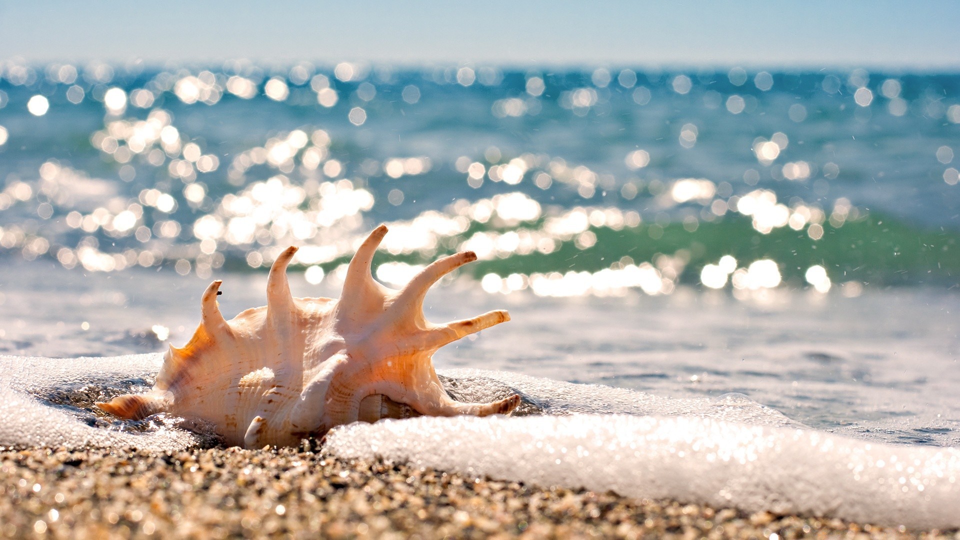 sea and ocean beach sea water ocean nature seashore sand shore summer wave vacation travel sun outdoors sky fair weather