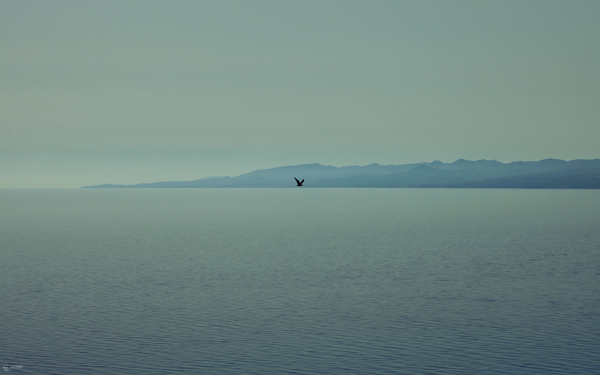 sea and ocean landscape water lake fog sky daylight sea beach seashore ocean tree river dawn mist mountain island nature recreation scenic outdoors