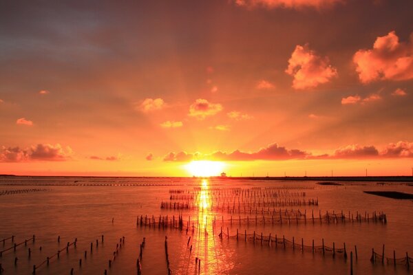 Evening sunset over the ocean