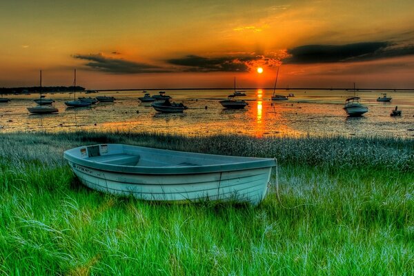 A bright sunset over a green lake