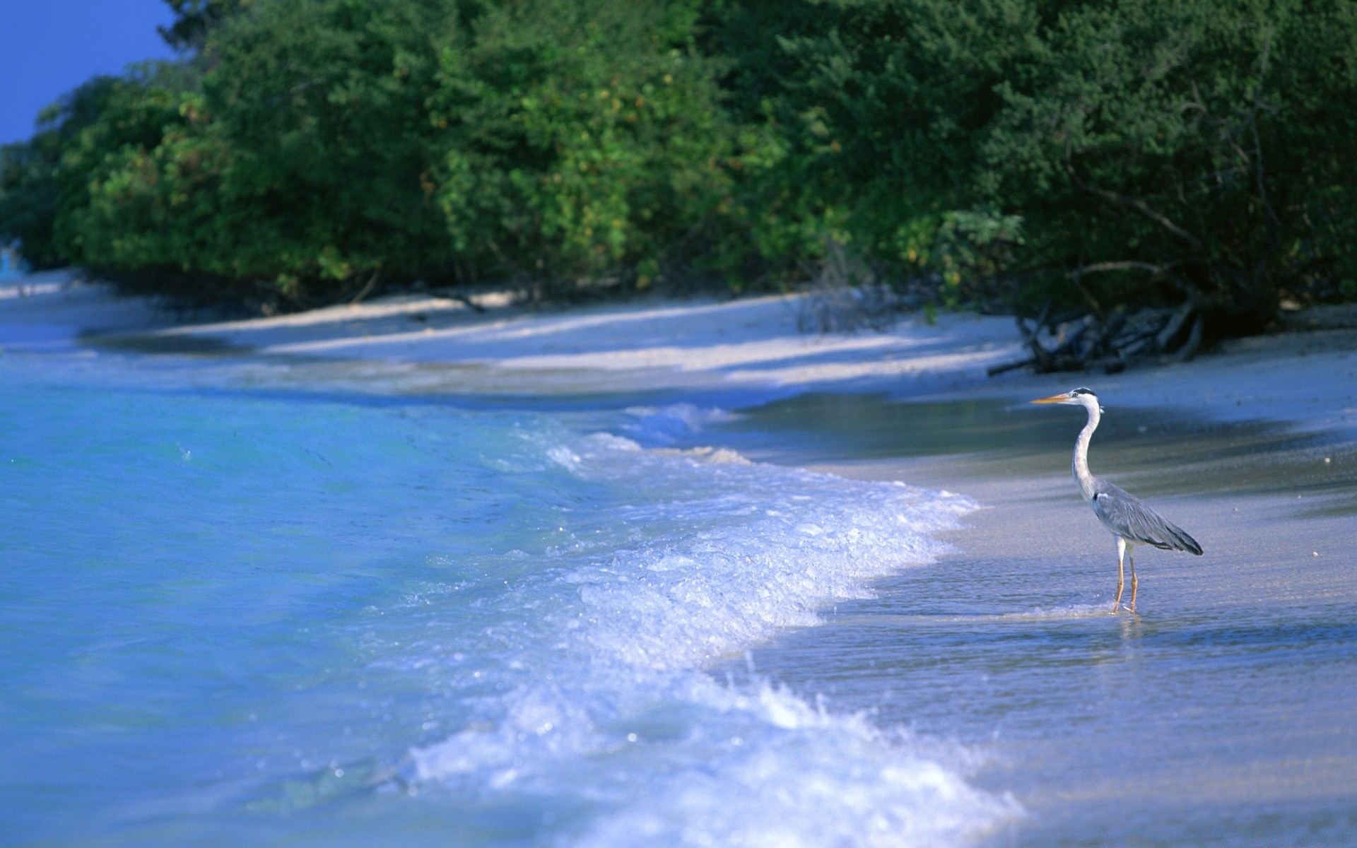 morze i ocean woda natura podróże na zewnątrz plaża jezioro lato niebo ocean krajobraz odbicie drzewo