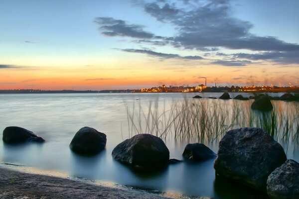 Meer, Steine, Pflanzen im Wasser