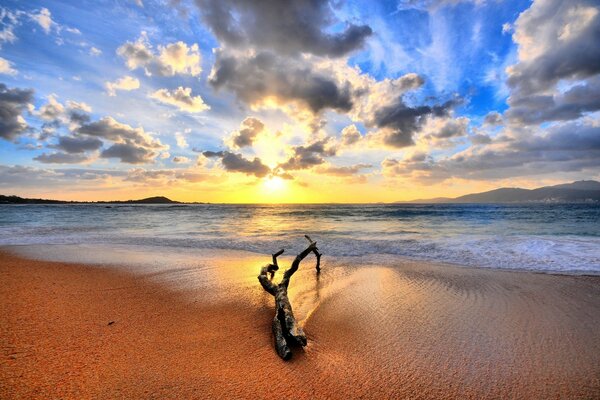 Playa oceánica al atardecer, madera flotante solitaria arrojada por el mar a la arena, cielo en las nubes