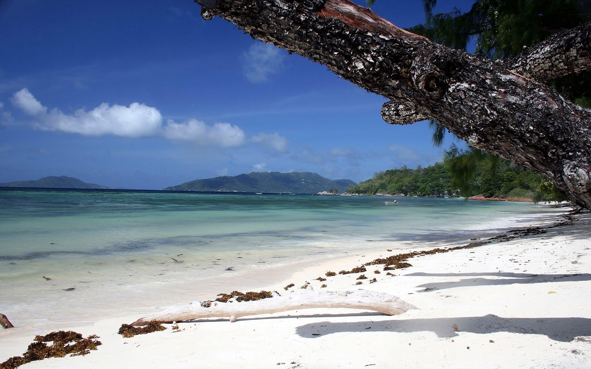 mer et océan eau mer plage voyage sable océan mer nature île tropical vacances ciel paysage arbre été paysage à l extérieur baie scénique