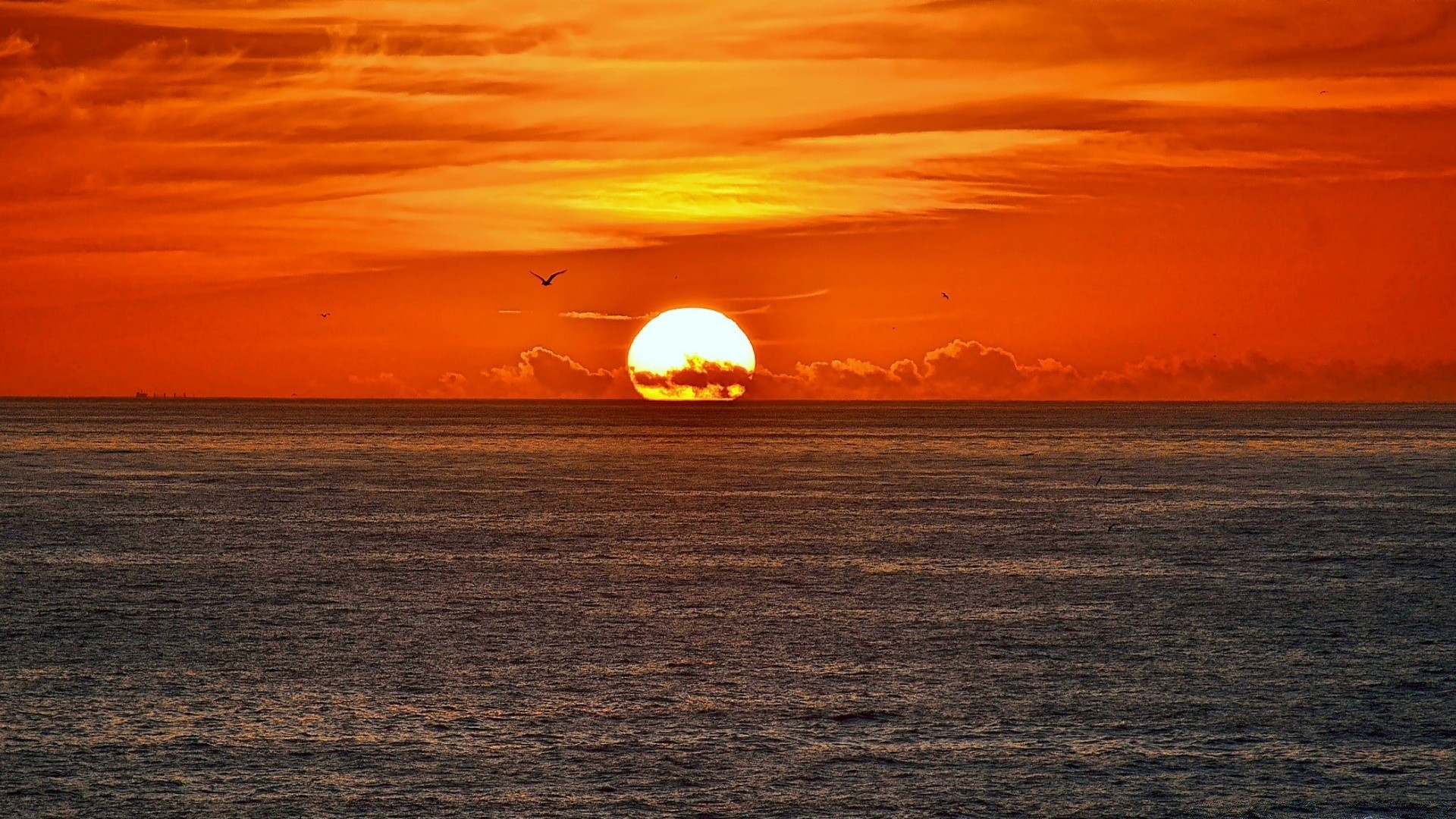 meer und ozean sonnenuntergang wasser ozean sonne dämmerung abend dämmerung meer strand landschaft himmel meer landschaft gutes wetter reflexion licht