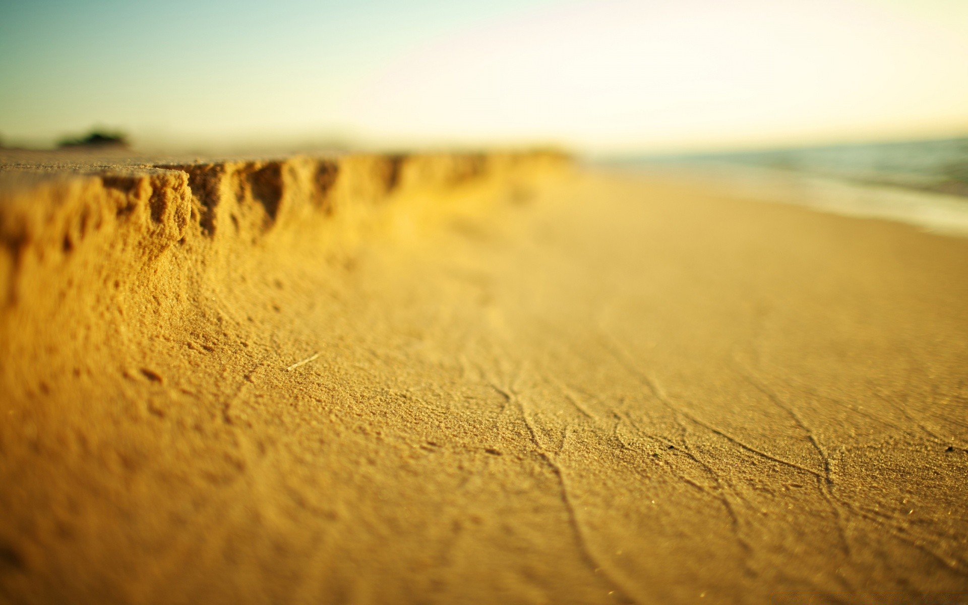 mer et océan plage désert paysage coucher de soleil résumé sable flou texture nature mer mer voyage nature morte or désintégration couleur dof soleil