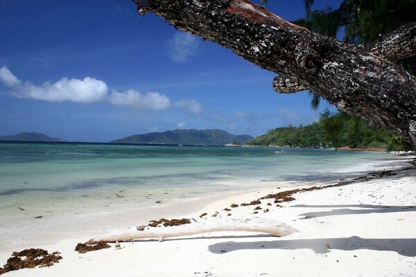 Beautiful background of a sandy beach on the ocean