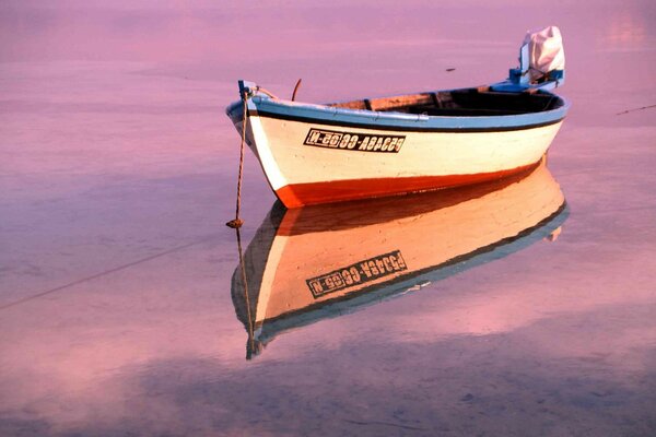 Bateau au coucher du soleil en fleurs roses