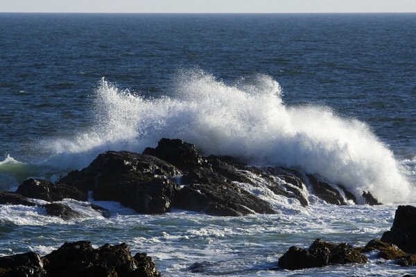 Sea surf. Beautiful desktop