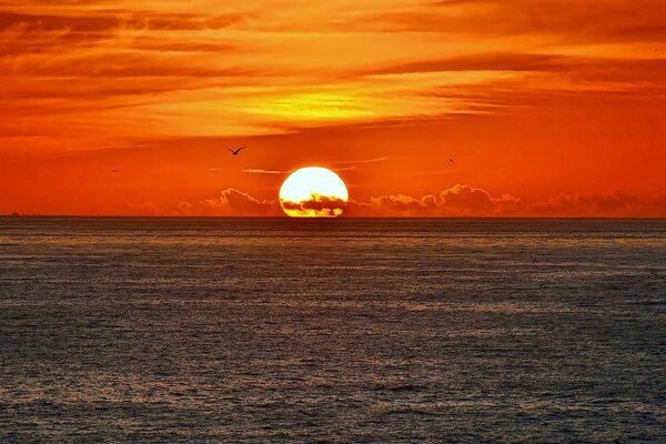 Der Sonnenuntergang senkt die Nacht über das Meer