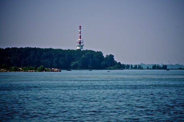 Dunkelgrüner Laubwald am Meer