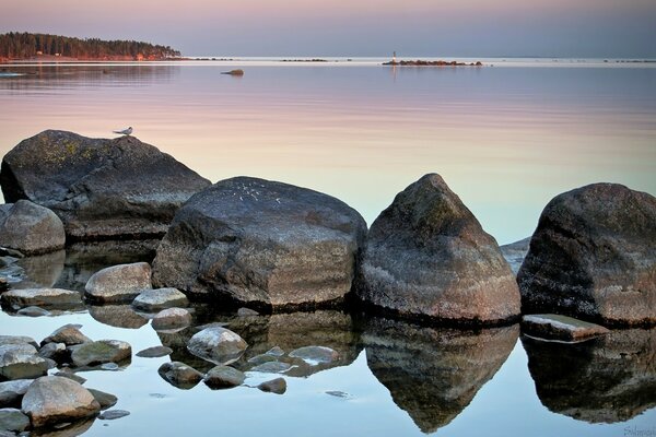 Камни на пляже в воде океанской