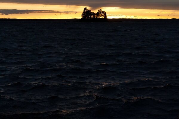 Dark sunset sea with trees