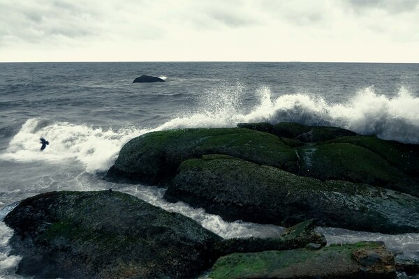 The waves of the ocean break on the rocks