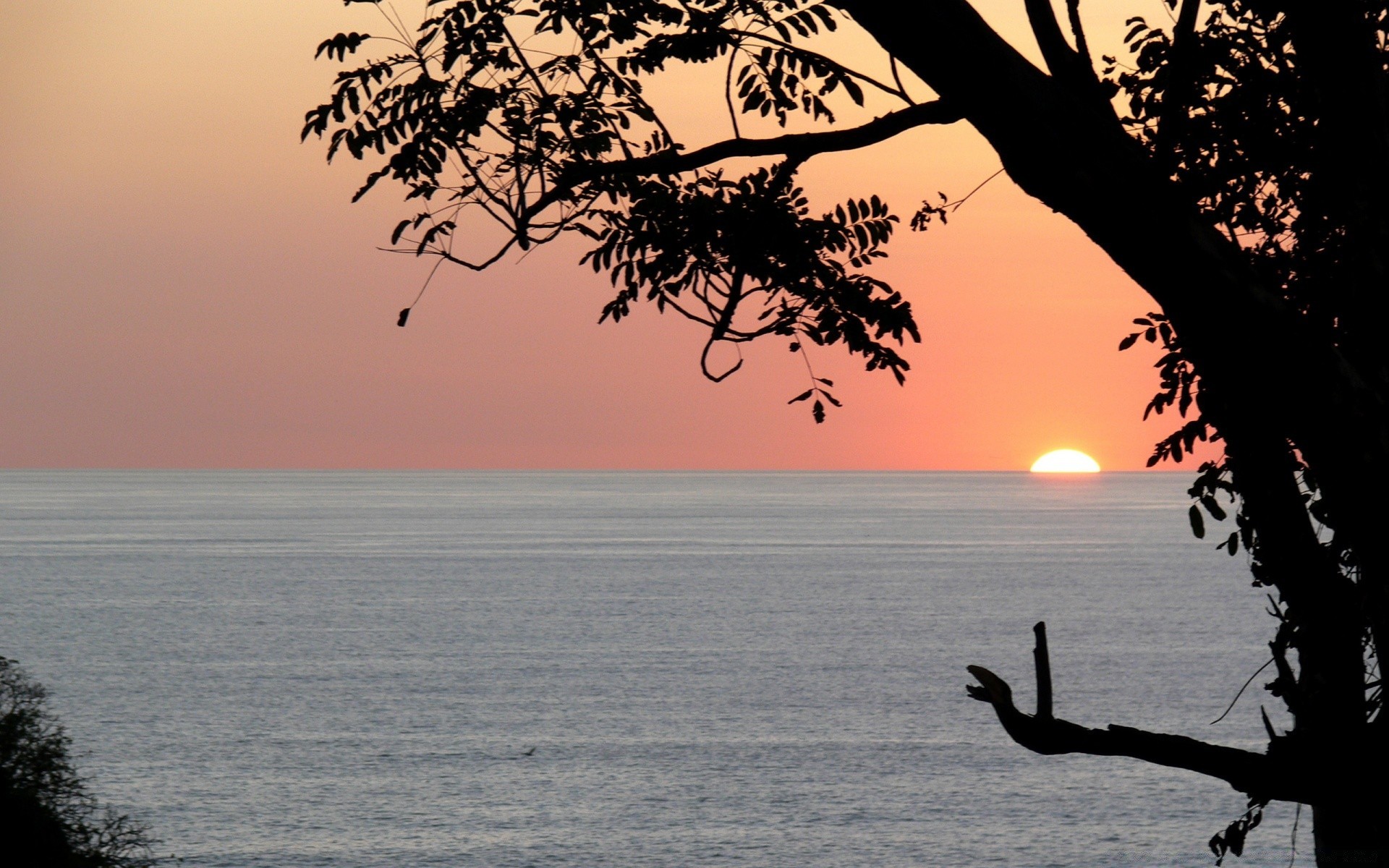 mare e oceano tramonto acqua alba sole spiaggia paesaggio sagoma mare natura albero sera oceano crepuscolo illuminato cielo estate lago mare