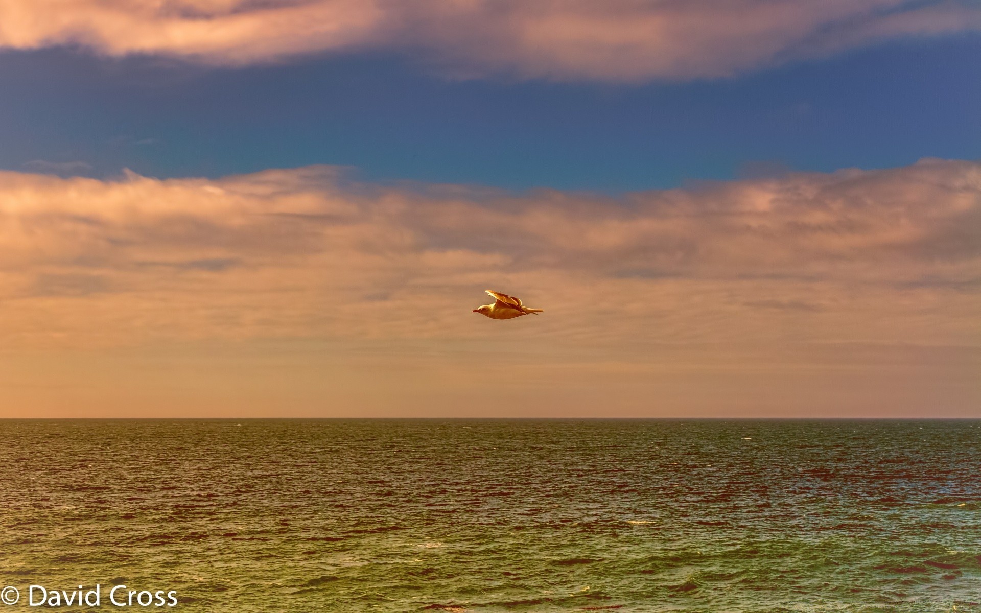 meer und ozean himmel sonnenuntergang wasser im freien dämmerung natur dämmerung sonne abend reisen gutes wetter sommer meer freiheit plesid gelassenheit