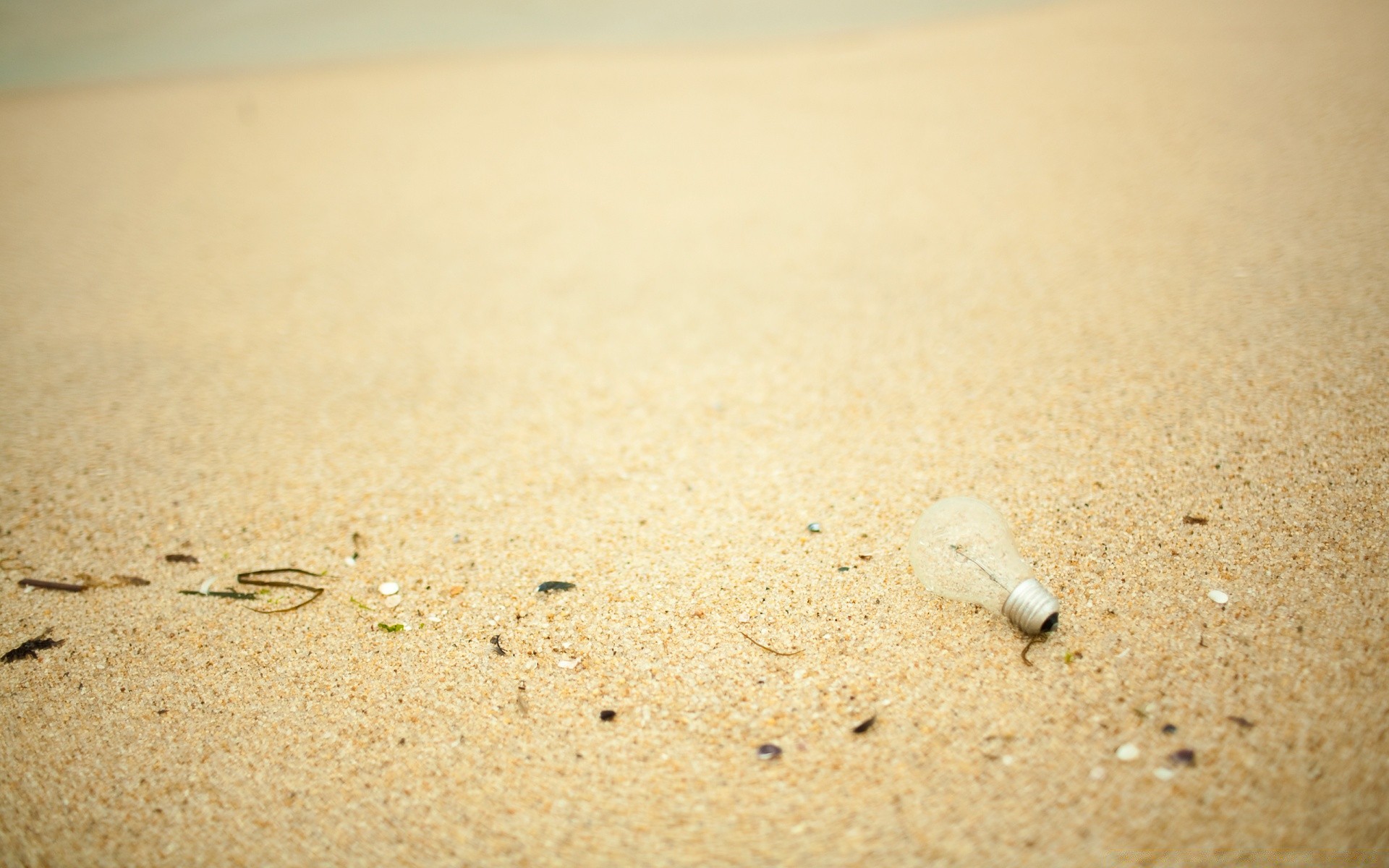 meer und ozean strand sand meer meer küste ozean schale muscheln wasser wüste urlaub resort seestern reisen insel küste marine sommer