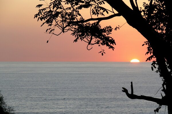 Orange dawn in the lilac ocean