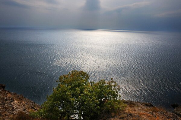 Panoramablick auf das Meer