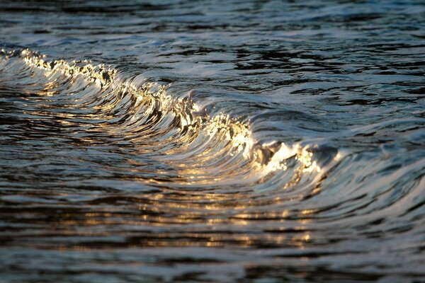 Sea and ocean, reflection in a wave