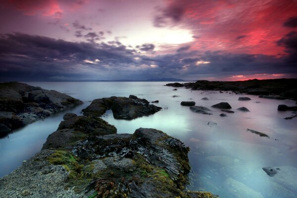 Mer, pierres, coucher de soleil rose