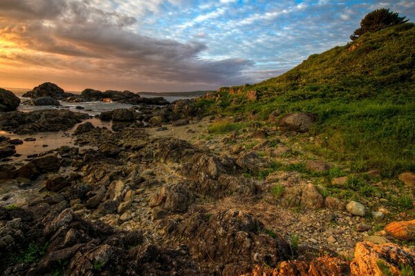 Ladera verde junto al mar