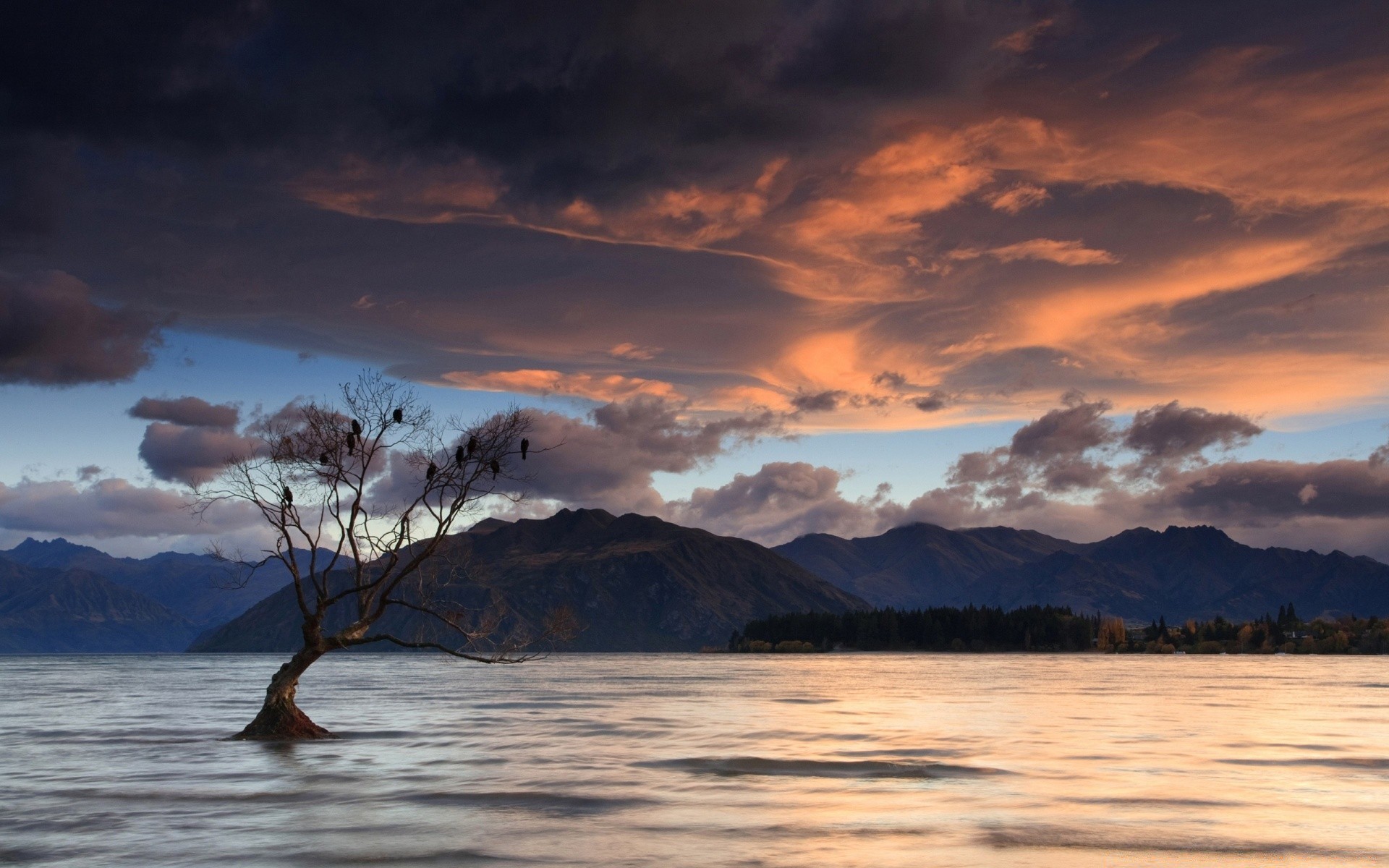 mer et océan eau coucher de soleil paysage aube lac nature ciel soir réflexion voyage mer à l extérieur crépuscule