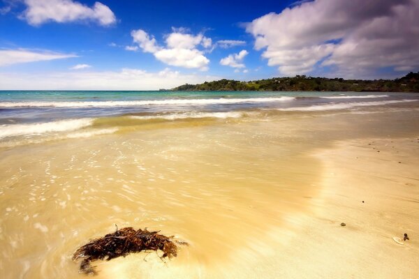 Mer jaune et beau sable jaune