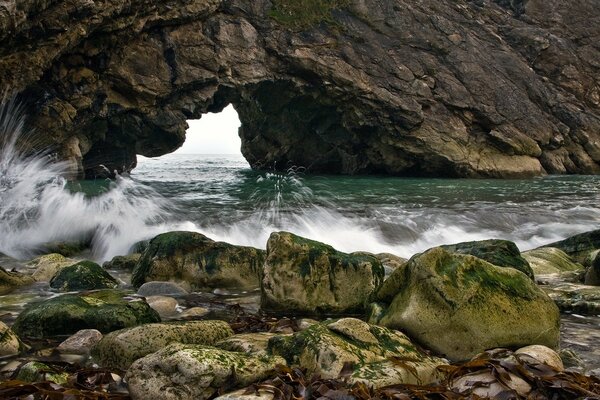 海浪。 岩石上的藻类