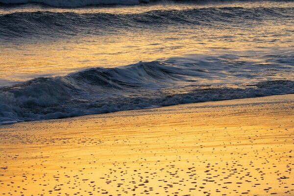 Vague de mer jaunâtre avec mousse