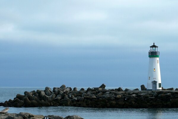 A lone sentinel on the shore