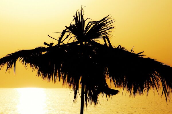 Tropical beach and sun on the water