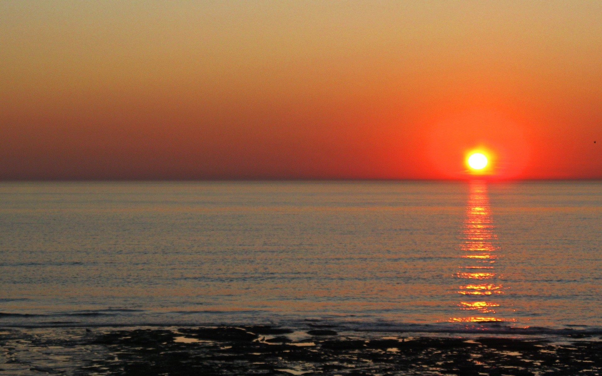 sea and ocean sunset water dawn sun evening sea dusk beach ocean seascape sky reflection fair weather nature light lake landscape