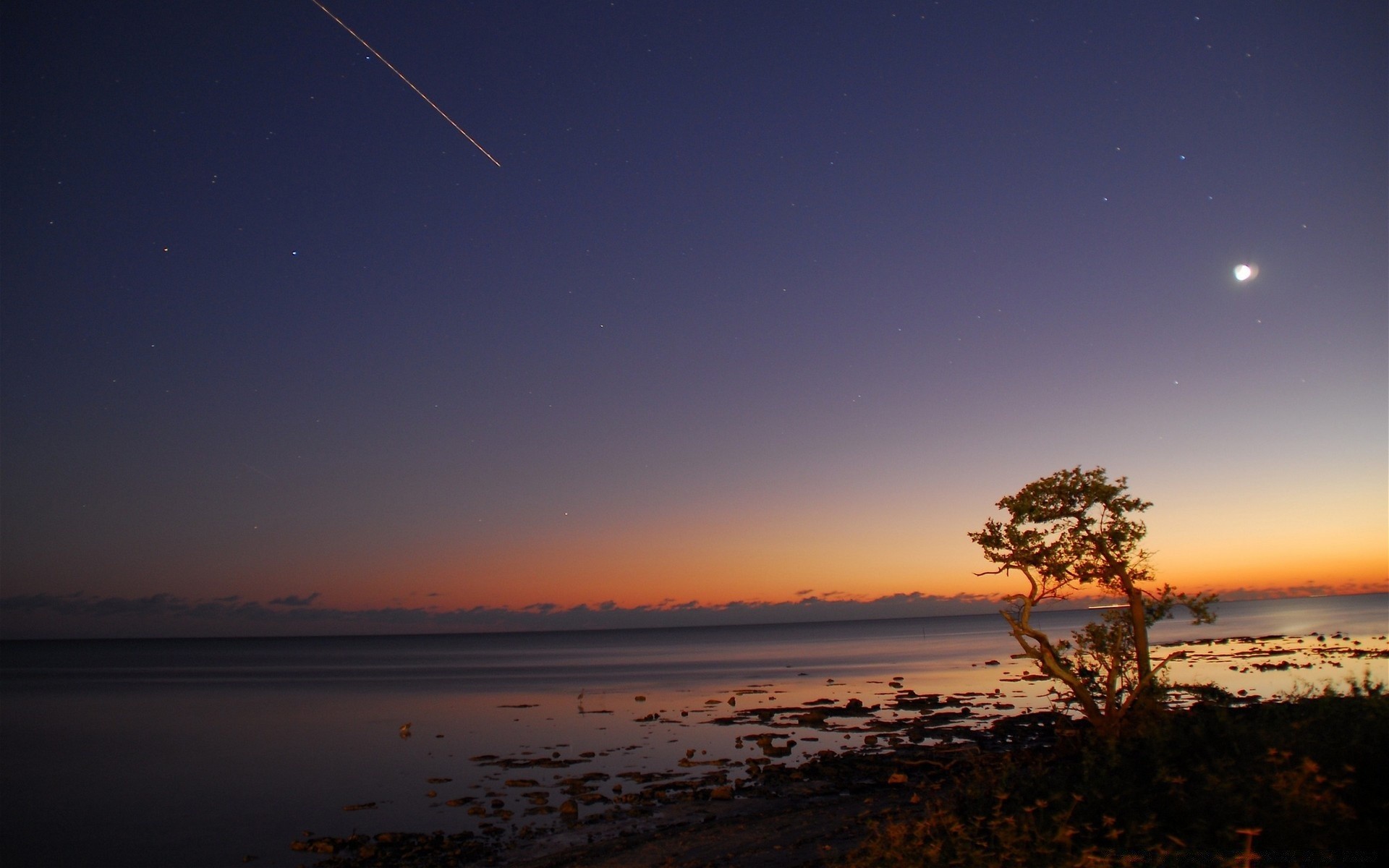 海洋和海洋 日落 月亮 晚上 水 海滩 天空 黄昏 太阳 海 景观 黎明 海 剪影 光 树 海洋 旅游 湖 户外