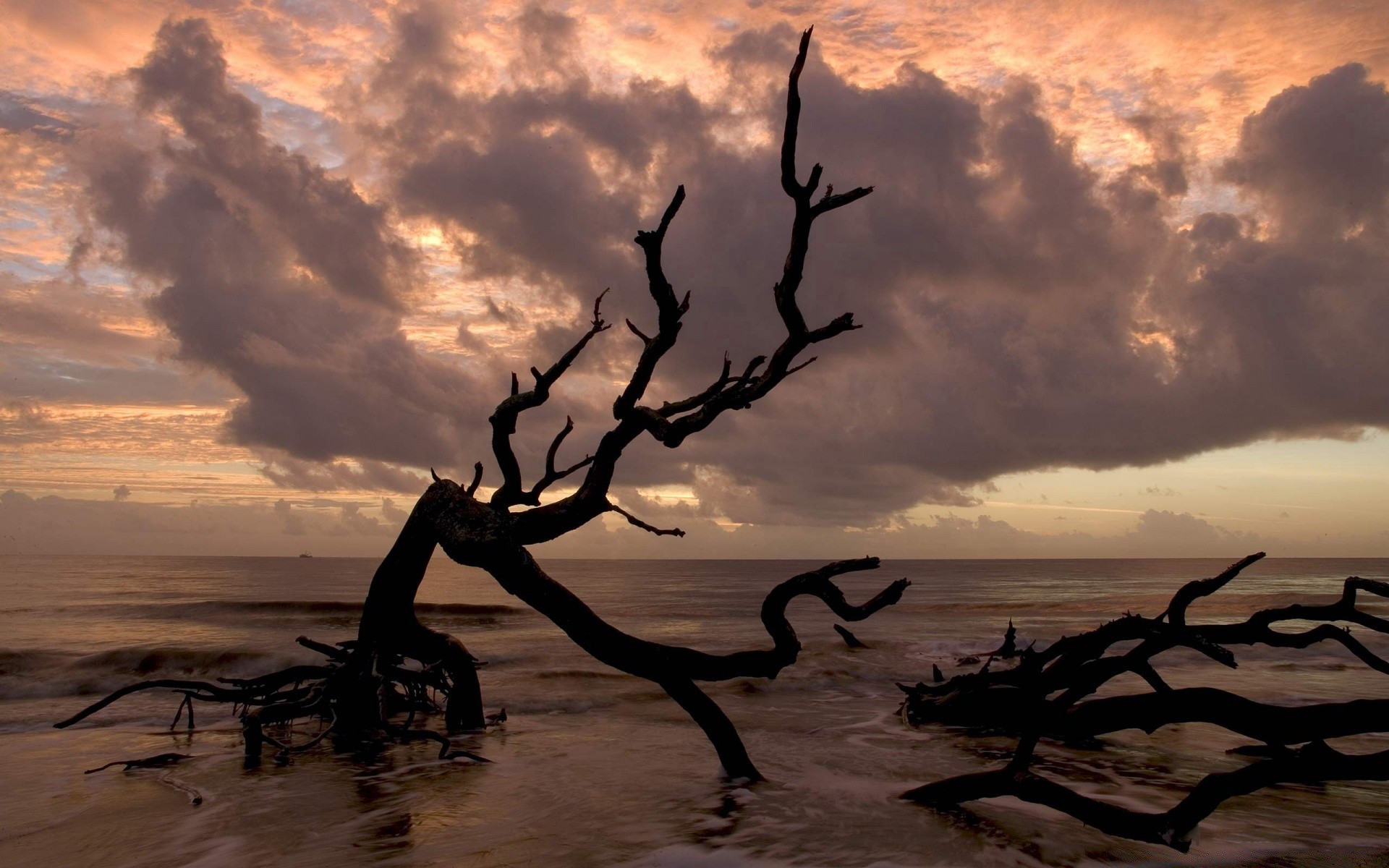 mare e oceano tramonto silhouette alba paesaggio sera crepuscolo illuminato cielo acqua tempesta oceano sole spiaggia mare surreale natura deserto