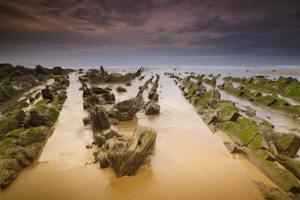 Dirty water drowns rocks covered with green moss