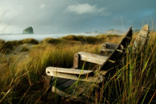 Ein verlassener Strand. Auf einem Feld neben dem Meer