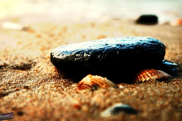 Pierre sur le sable de la rivière nature macro-tir