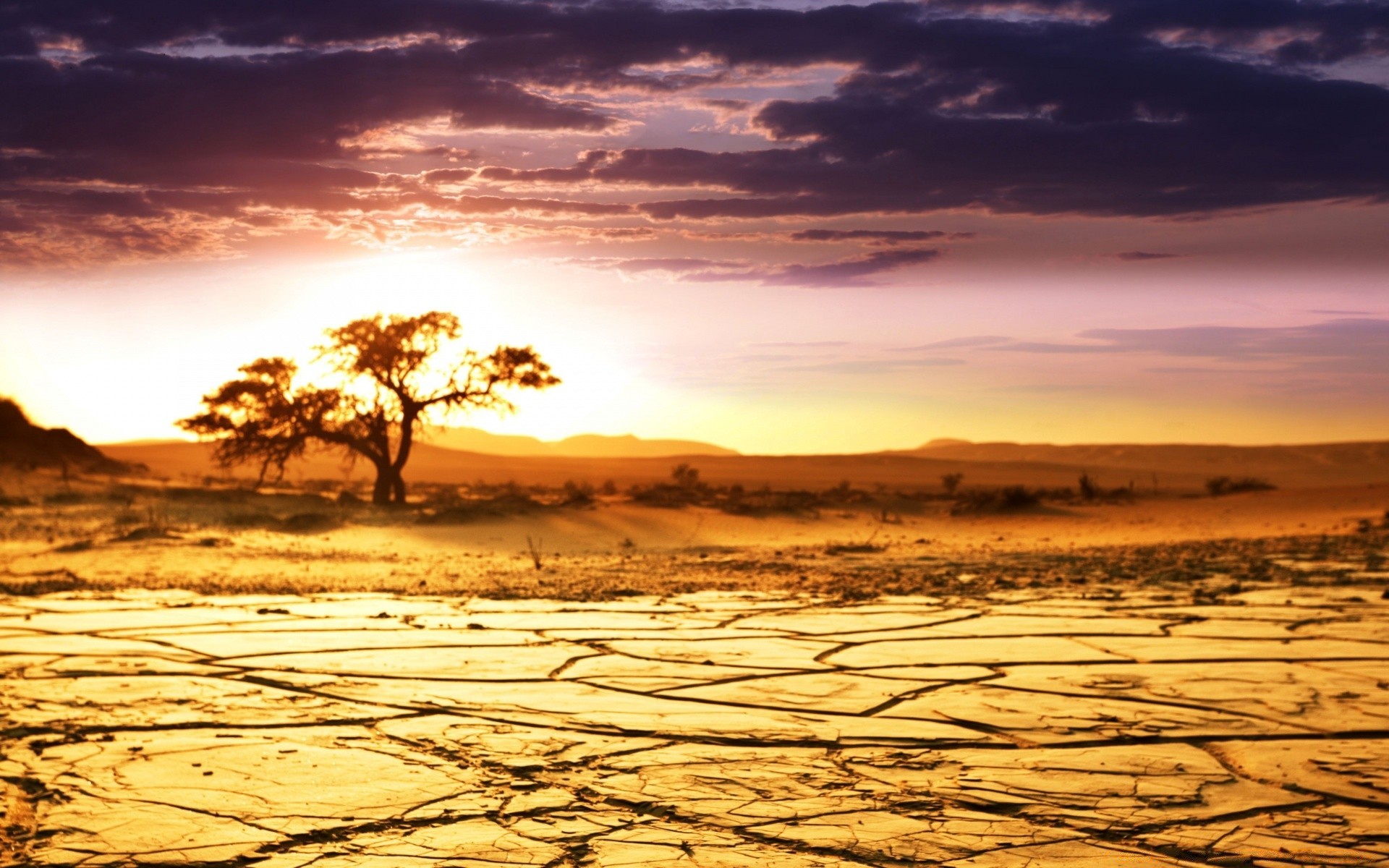 deserto tramonto natura sole alba cielo acqua sabbia crepuscolo paesaggio sera bel tempo estate