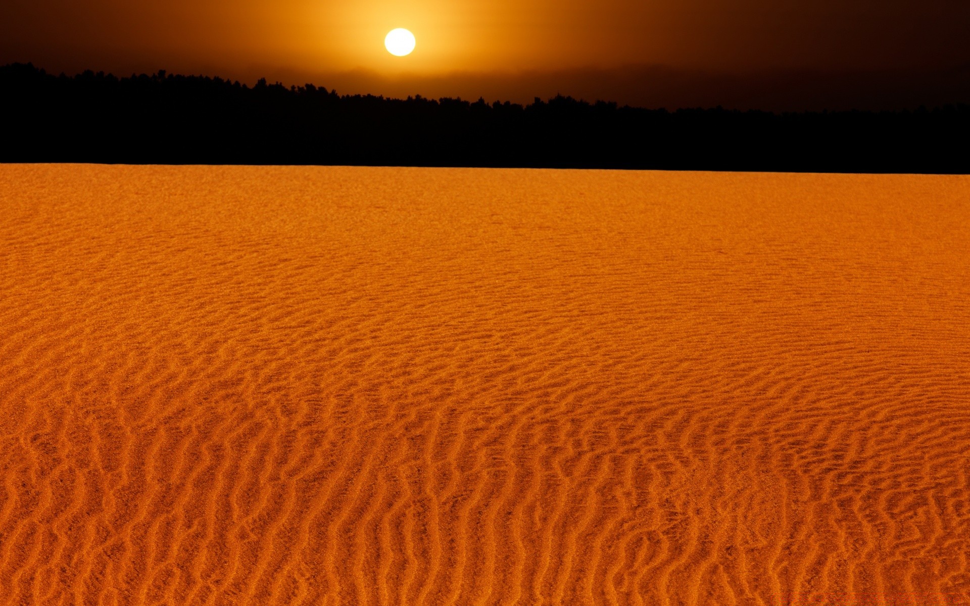 desierto puesta del sol arena amanecer agua noche playa