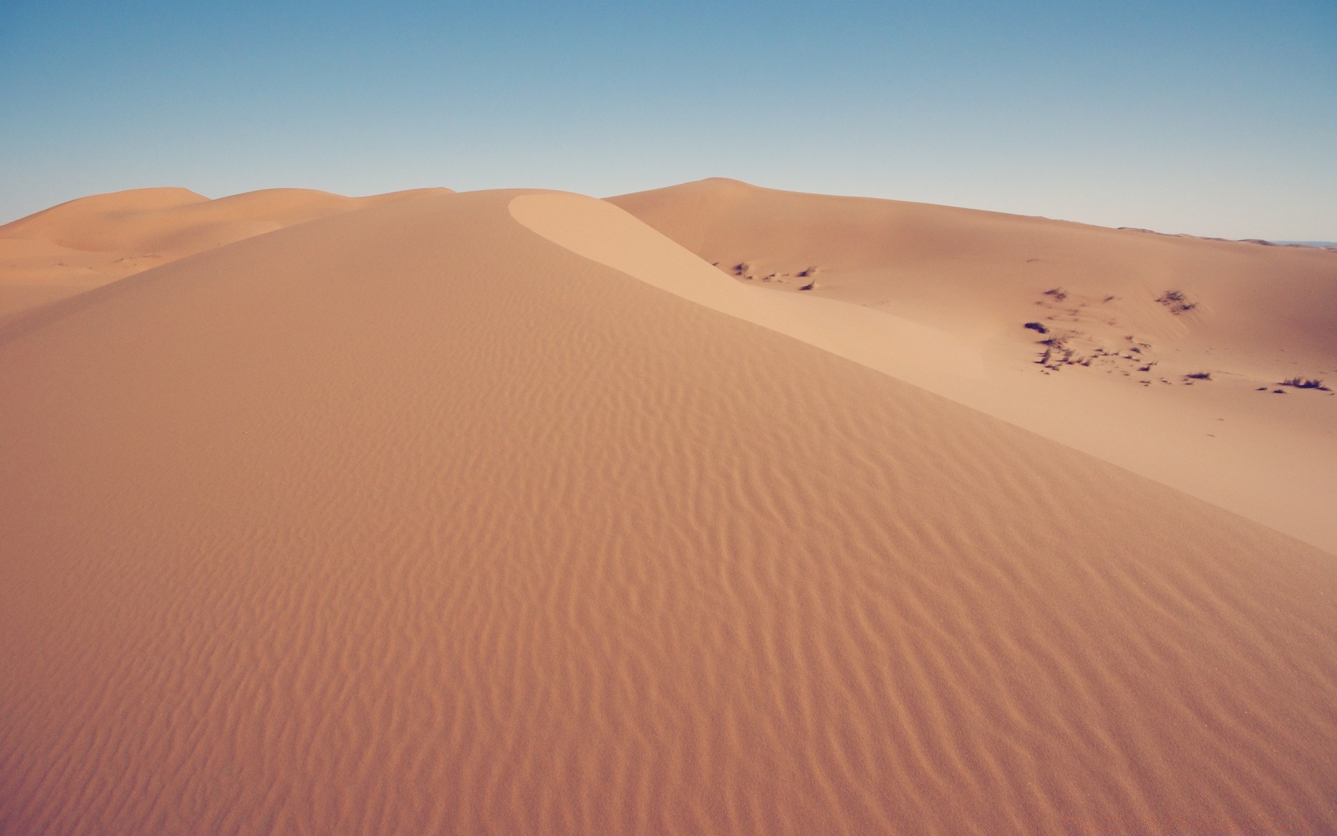 wüste sand düne aride unfruchtbar heiß trocken abenteuer allein reisen warm einsamkeit fußabdruck hügel landschaft dürre fern dämmerung sonne