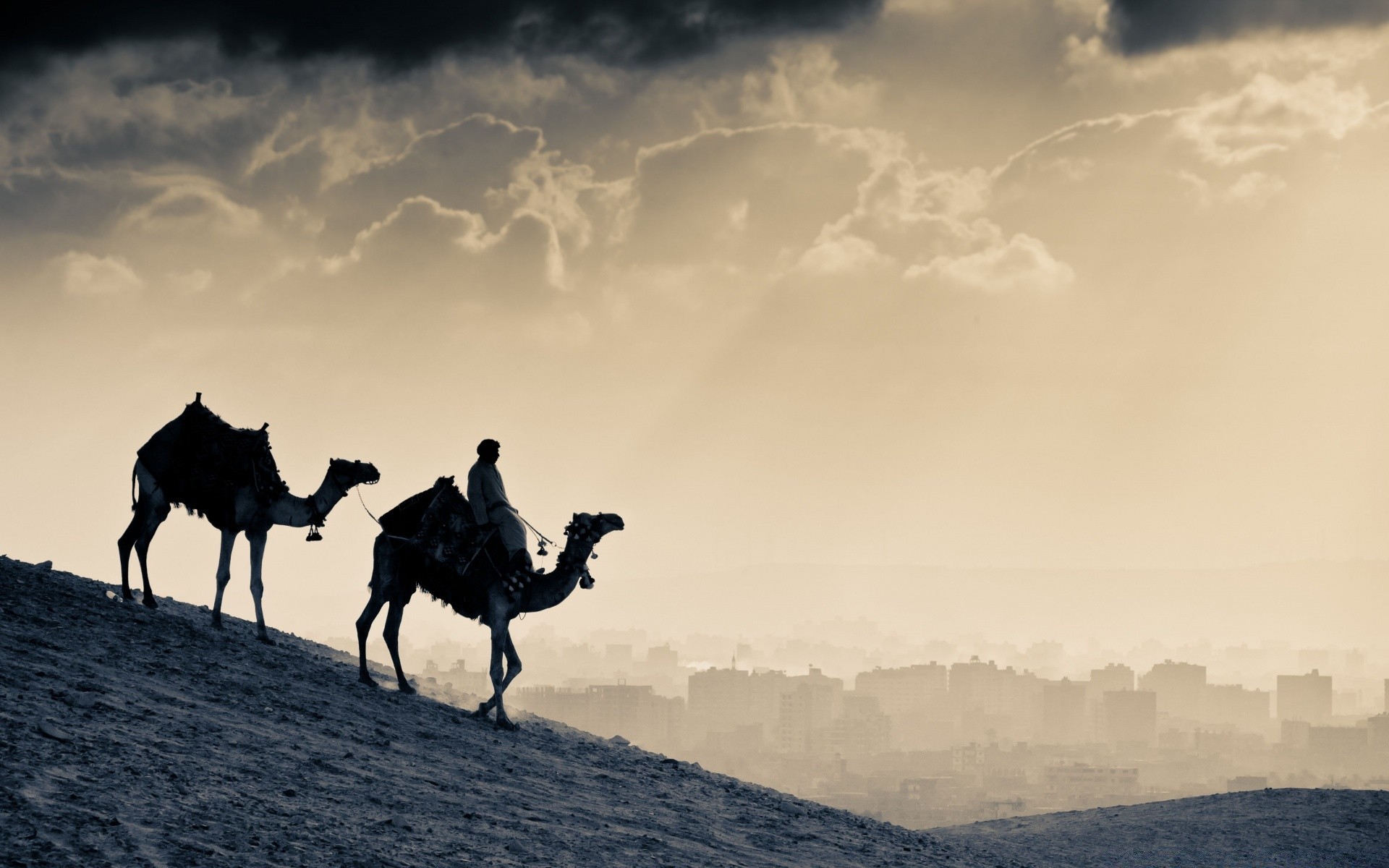 desert mammal camel travel sitting landscape cavalry one sky outdoors backlit mountain transportation system sunset dawn